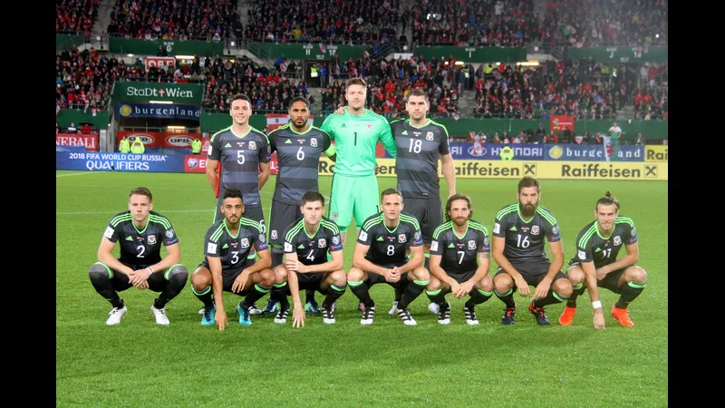 Cầu thủ Wales và Bosnia & Herzegovina đấu tranh gay gắt trên sân cỏ